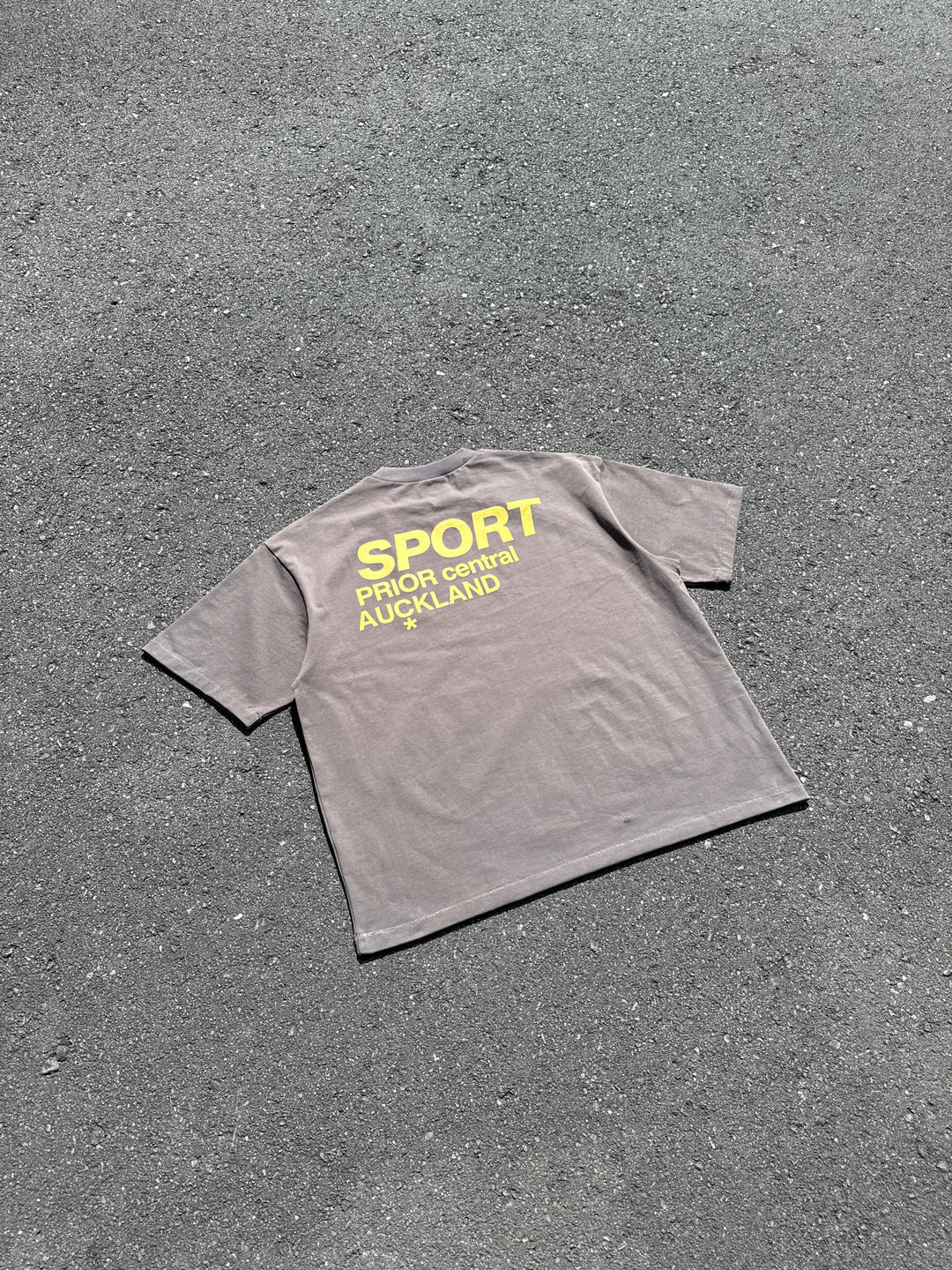 Prior Sport Logo T-Shirt Slate