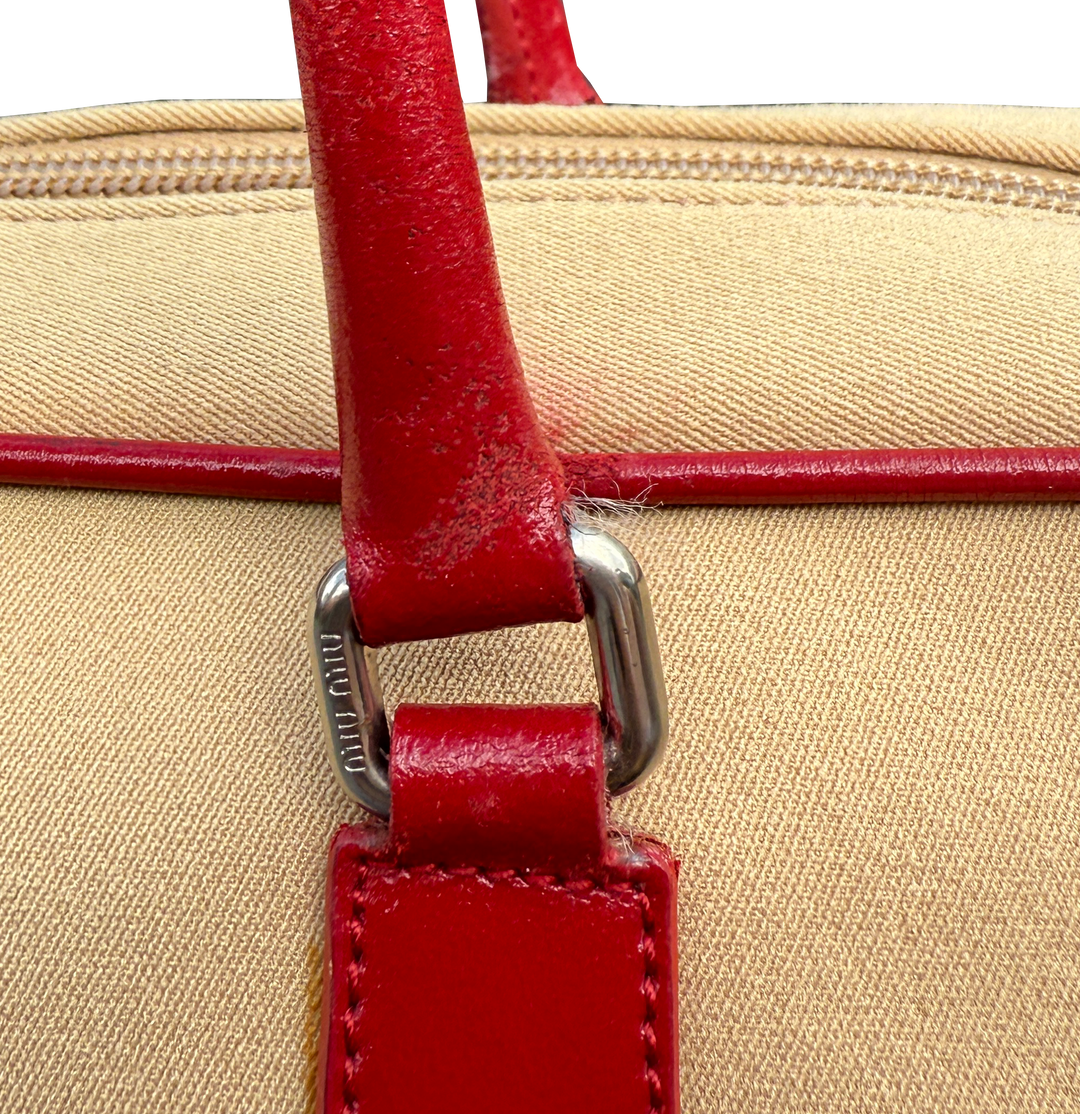 Miu Miu Arcadie Leather Crossbody Bag
