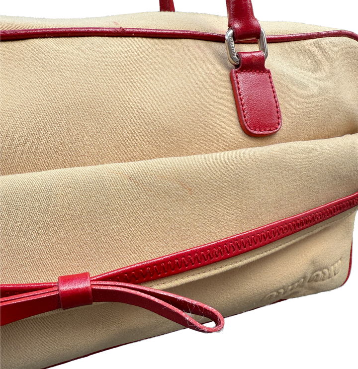 Miu Miu Arcadie Leather Crossbody Bag