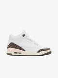 Nike Air Jordan 3 Retro Neapolitan Dark Mocha (W) Prior