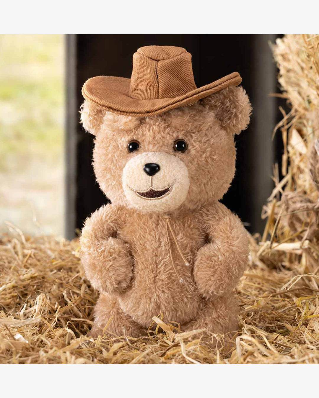 Pop Mart Ted2 Teddy Bear Action Plush Pendant Series Single Blind Box