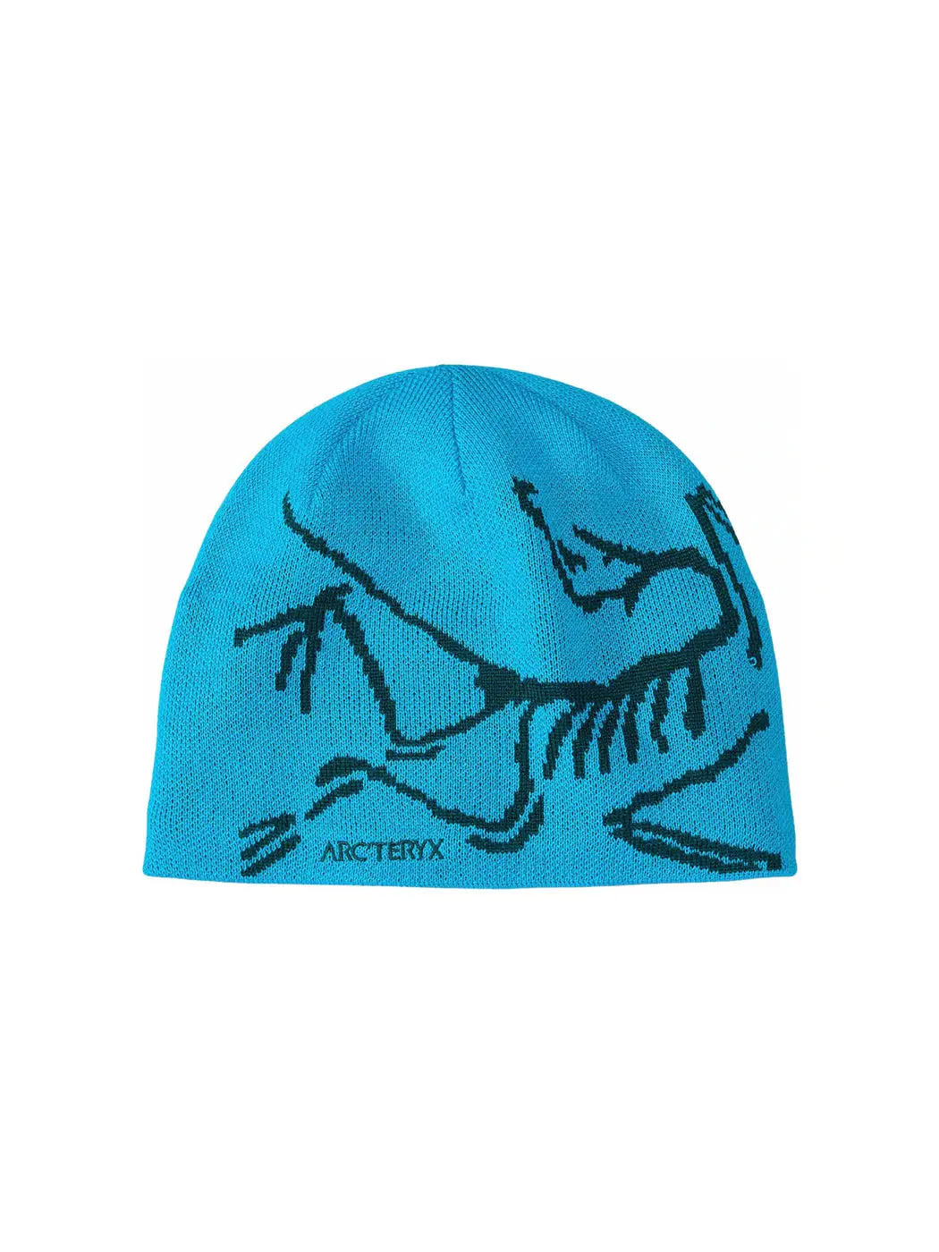 Arc'teryx Bird Head Toque Blue Tetra/Pytheas in Auckland, New Zealand - Shop name