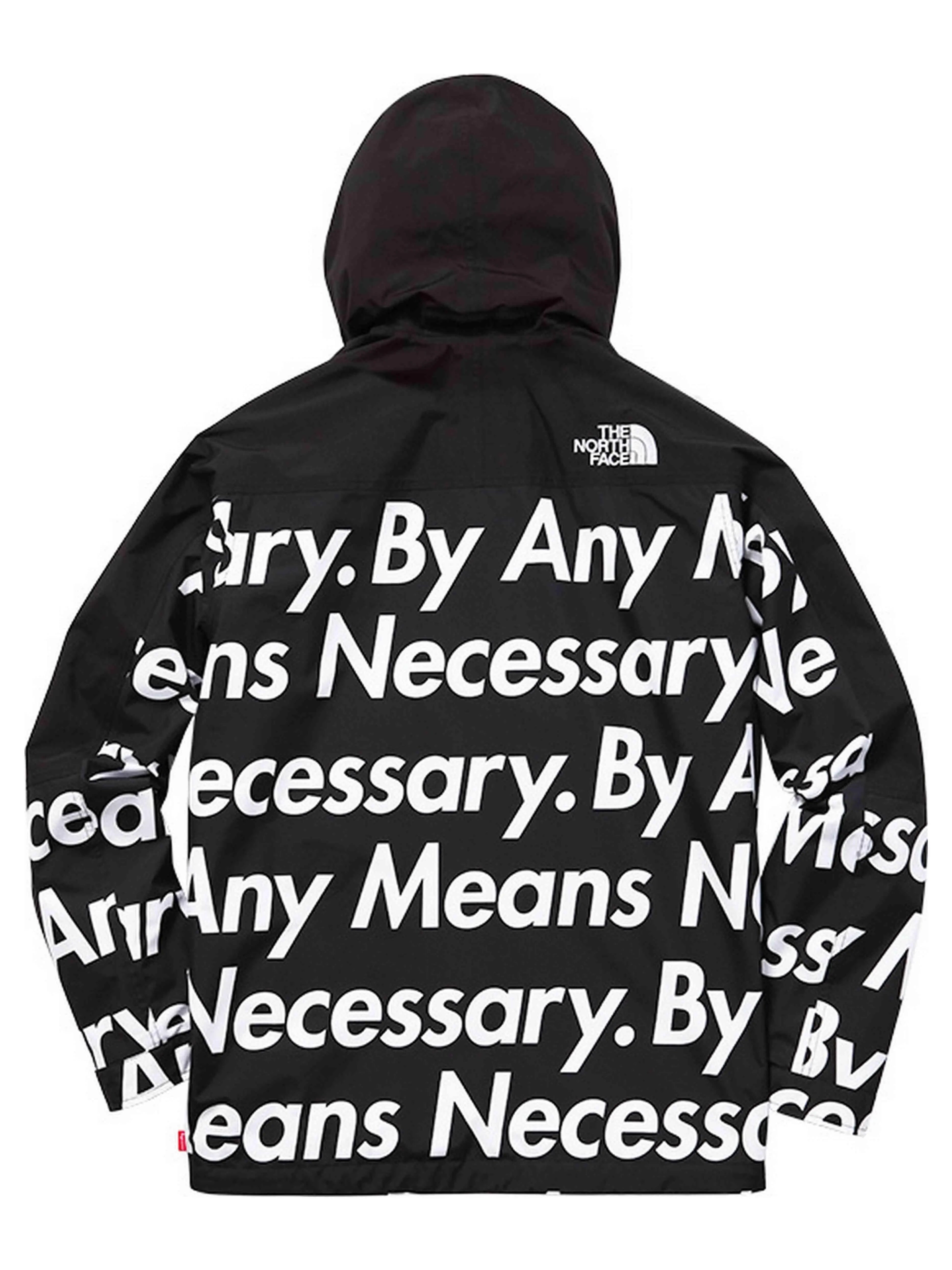 Supreme North Face Mountain Pull Over Jacket L By Any Means Necessary