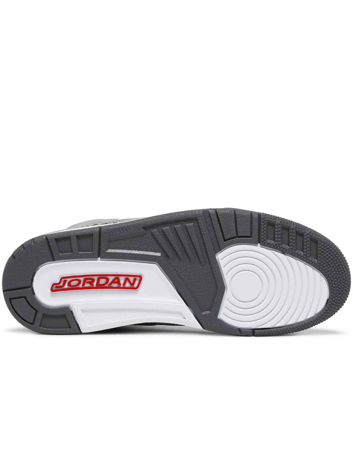Nike Air Jordan 3 Retro Cool Grey [2021] Prior