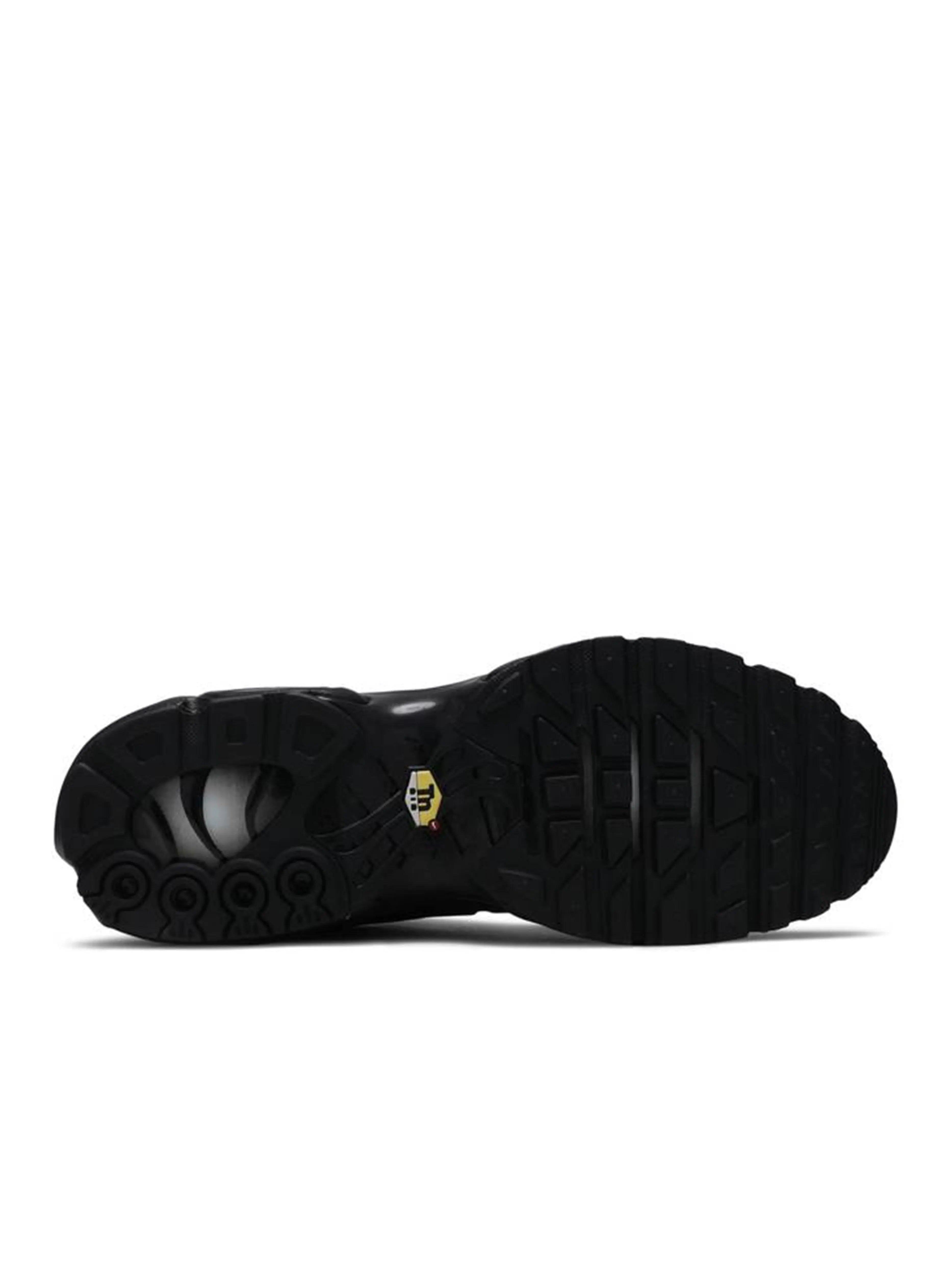Nike Air Max Plus TN Triple Black Nike