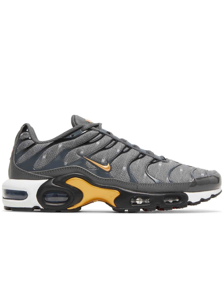 Nike Air Max Plus Tn Denim Twill Prior