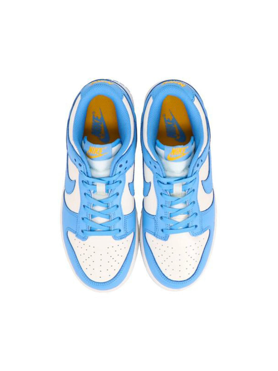 Nike Dunk Low Coast [W] Prior