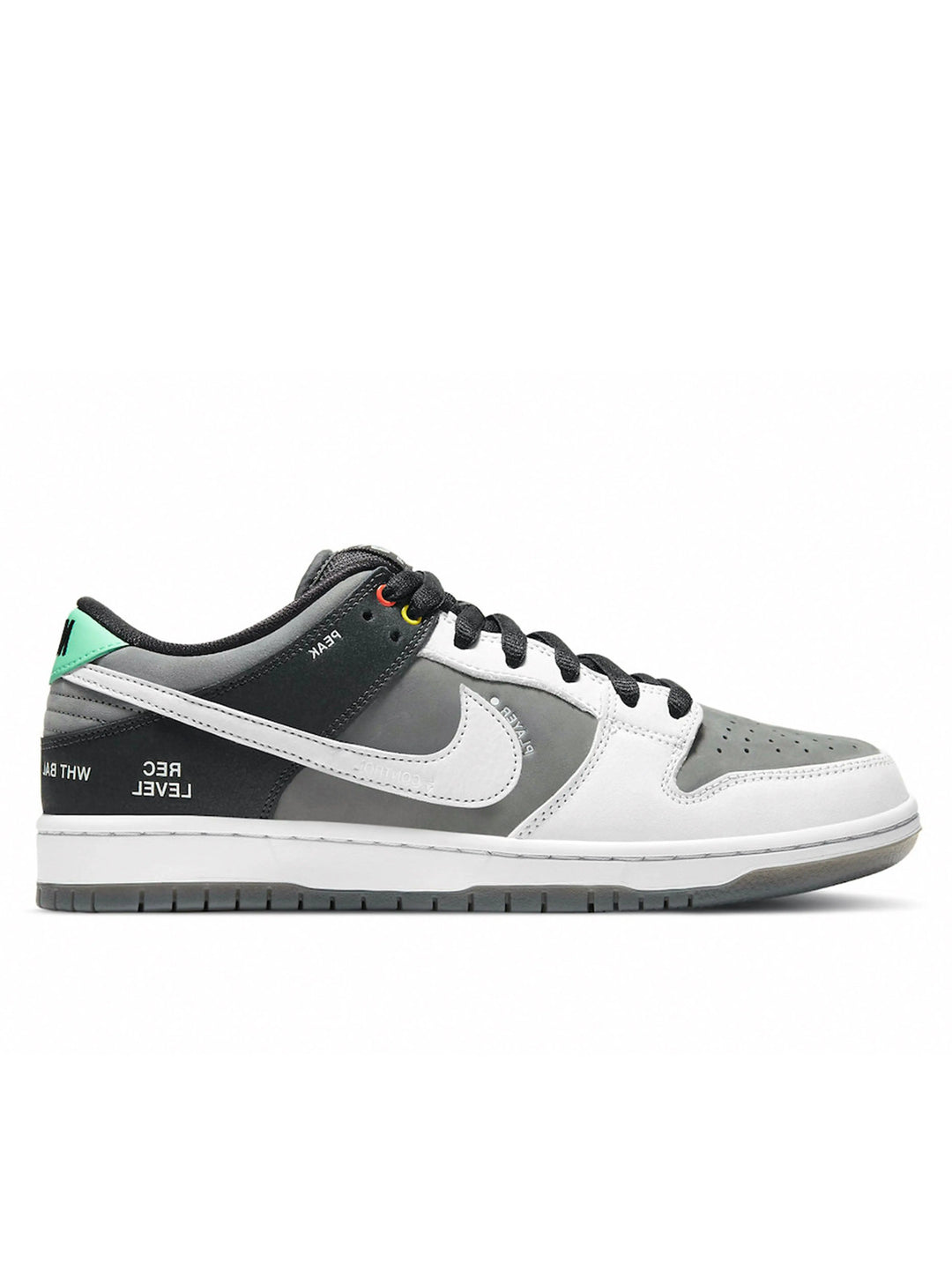 Nike Dunk Low VX1000 Camcorder Prior