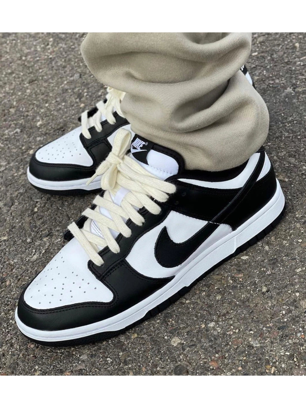 Prior Workshop Essential Shoelaces Prior Workshop