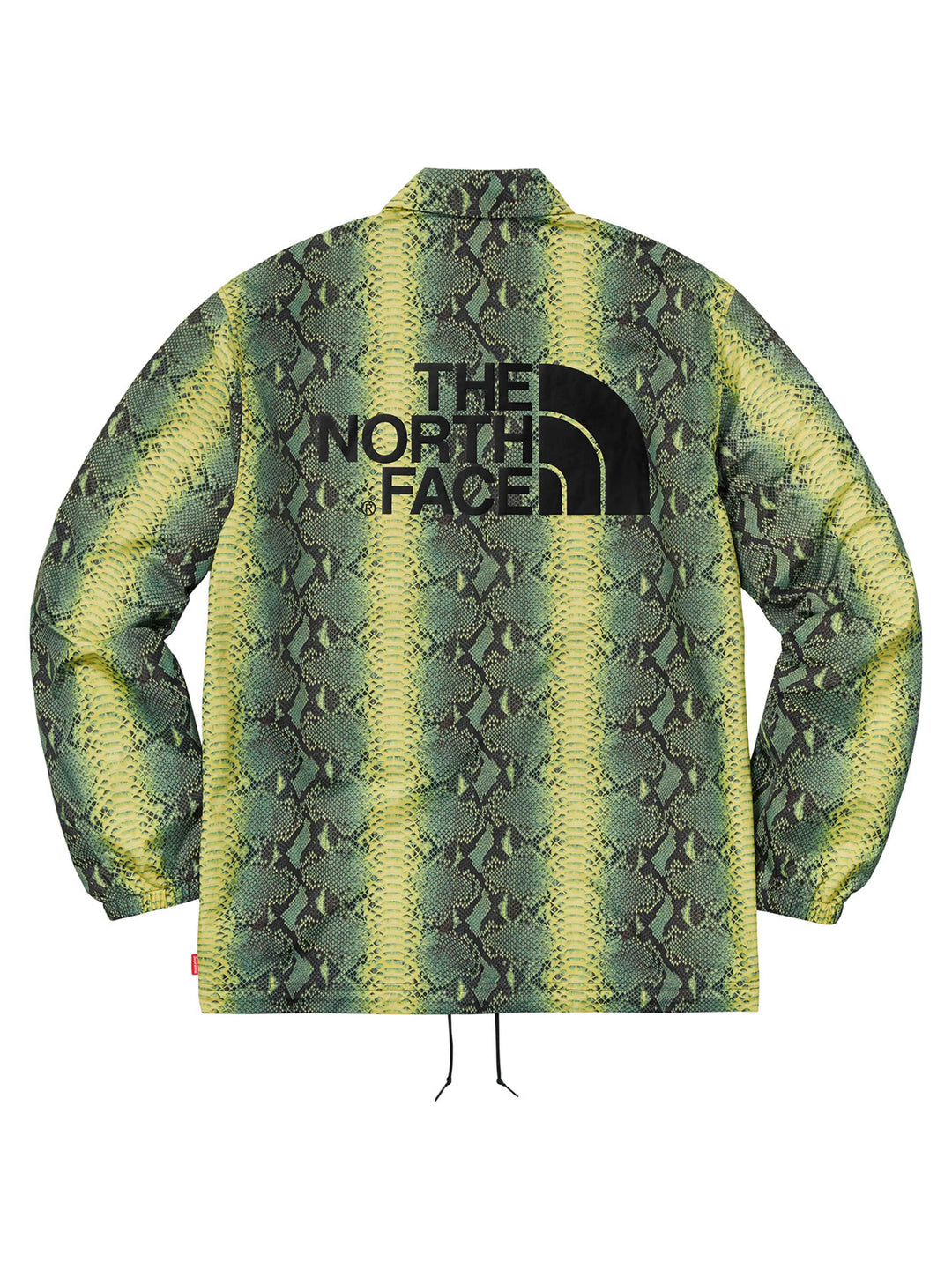 Supreme X The North Face Snakeskin Coaches Jacket L Supreme