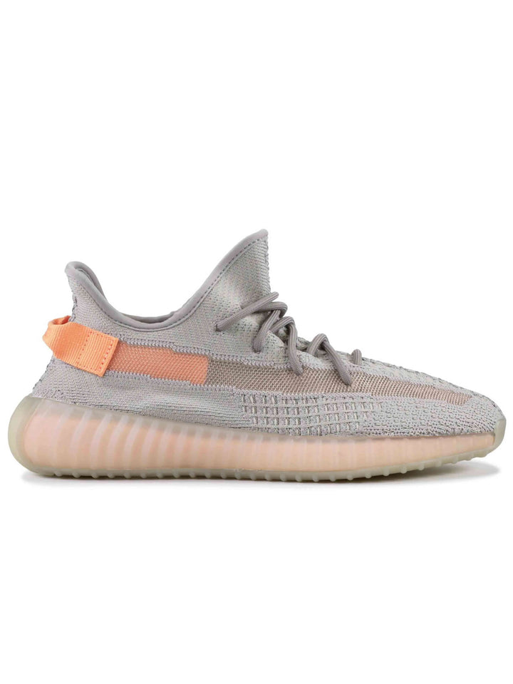 Yeezy Boost 350 V2 Trueform Adidas