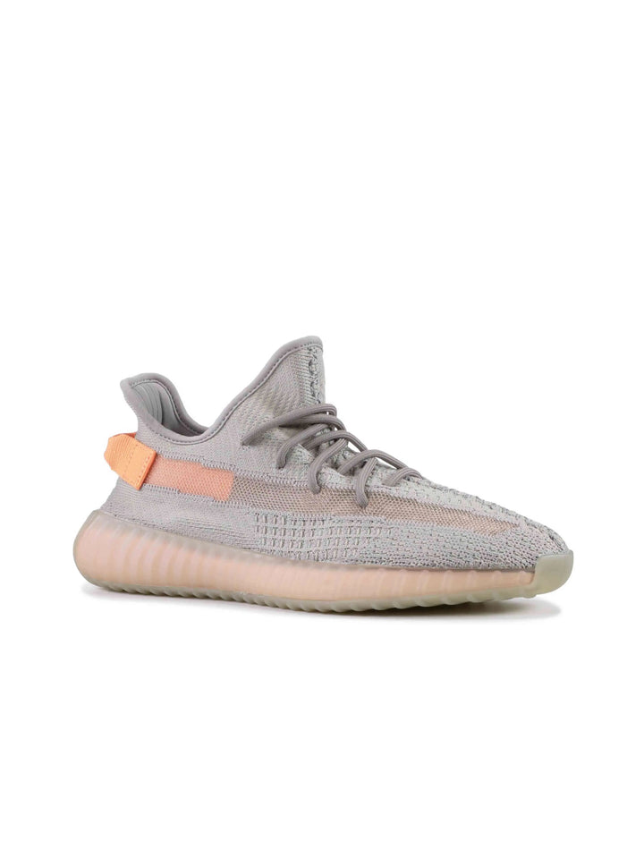 Yeezy Boost 350 V2 Trueform Adidas